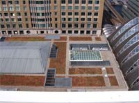 Sedum roof on Retail Building, Canary Wharf